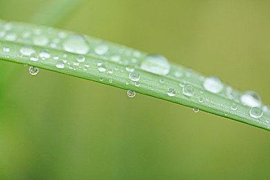 Epic喜加一：《洞窟物语》免费领取